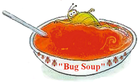 EE CHIGAE=Bug Soup